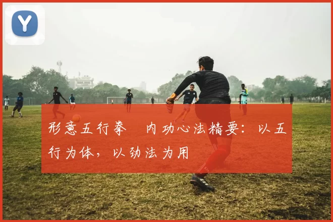 形意五行拳・内功心法精要：以五行为体，以劲法为用