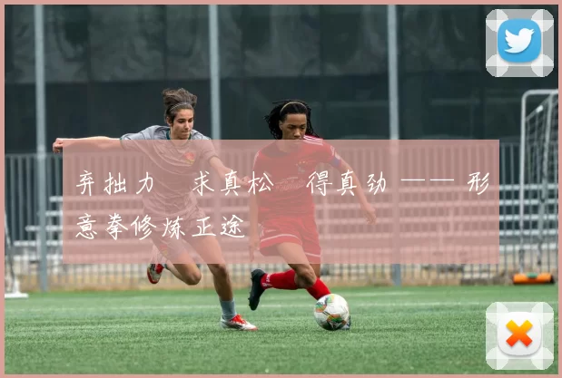 弃拙力・求真松・得真劲 —— 形意拳修炼正途