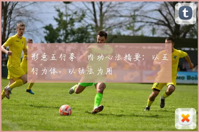 形意五行拳・内功心法精要：以五行为体，以劲法为用