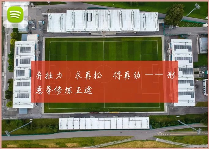 弃拙力・求真松・得真劲 —— 形意拳修炼正途