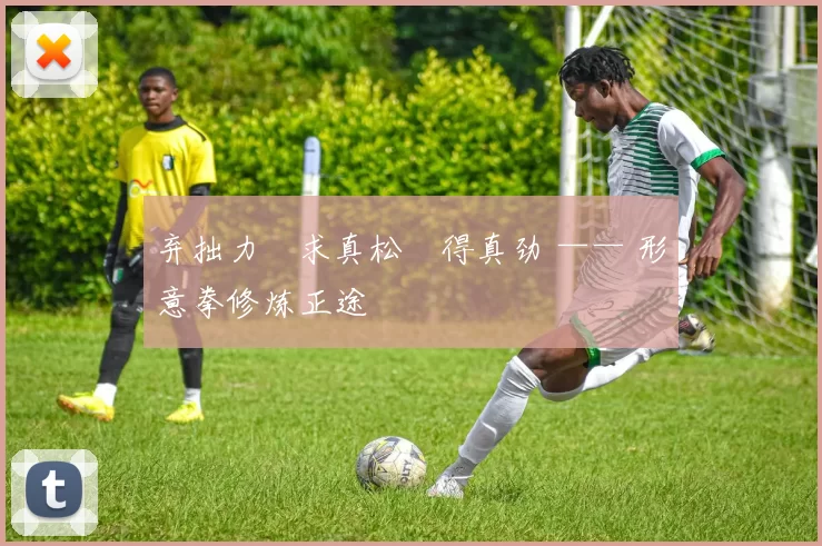 弃拙力・求真松・得真劲 —— 形意拳修炼正途