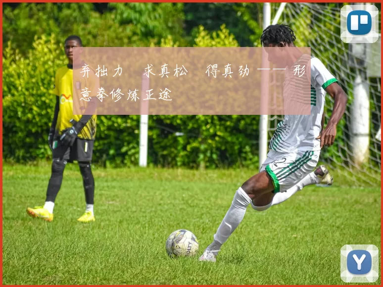 弃拙力・求真松・得真劲 —— 形意拳修炼正途