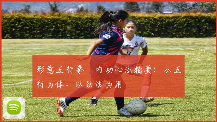 形意五行拳・内功心法精要：以五行为体，以劲法为用