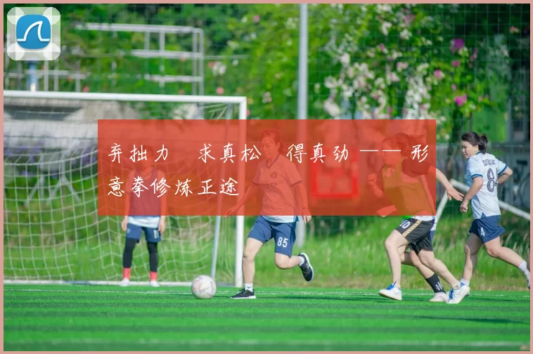 弃拙力・求真松・得真劲 —— 形意拳修炼正途