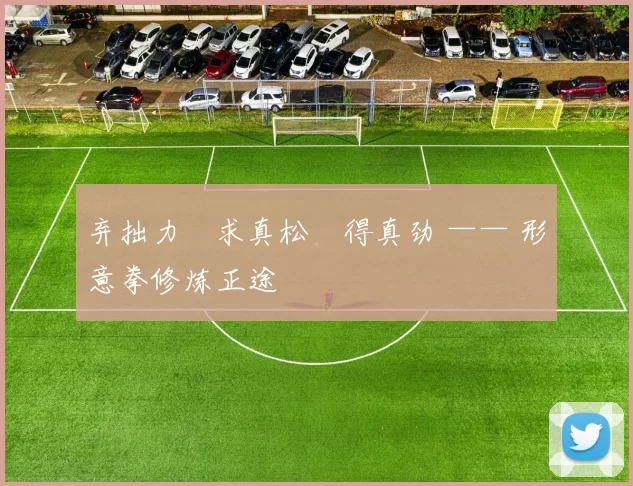 弃拙力・求真松・得真劲 —— 形意拳修炼正途