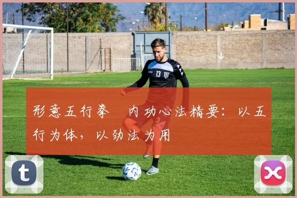 形意五行拳・内功心法精要:以五行为体,以劲法为用