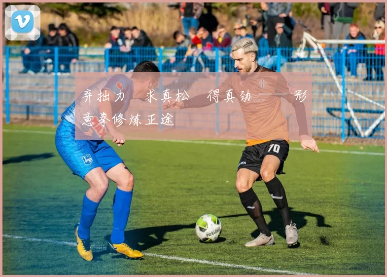 弃拙力・求真松・得真劲 —— 形意拳修炼正途