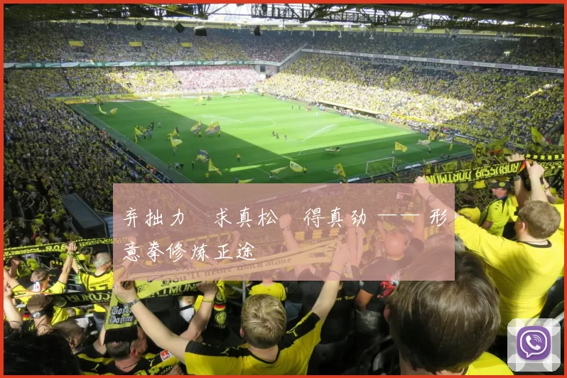 弃拙力・求真松・得真劲 —— 形意拳修炼正途