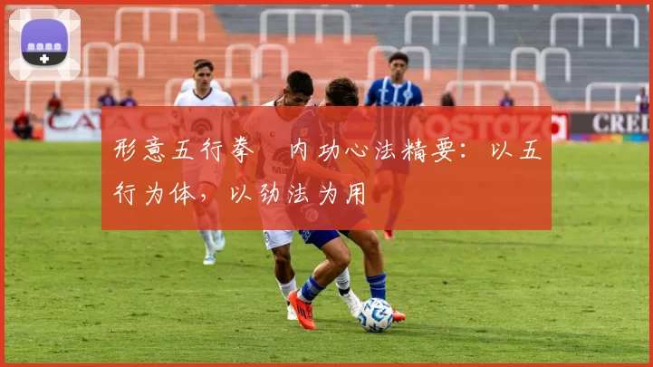 形意五行拳・内功心法精要:以五行为体,以劲法为用