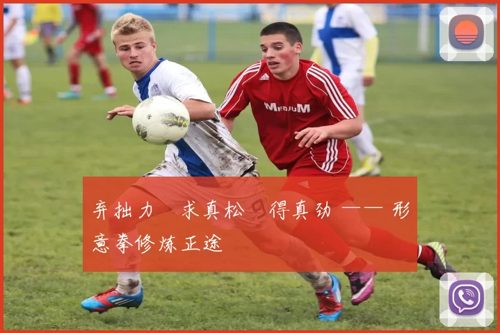 弃拙力・求真松・得真劲 —— 形意拳修炼正途