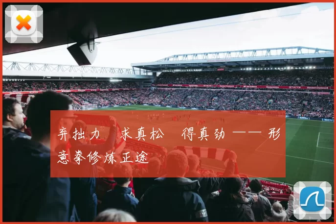 弃拙力・求真松・得真劲 —— 形意拳修炼正途