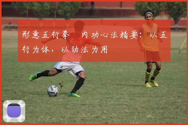 形意五行拳・内功心法精要:以五行为体,以劲法为用