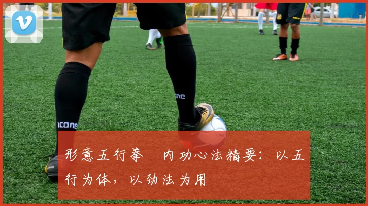 形意五行拳・内功心法精要：以五行为体，以劲法为用