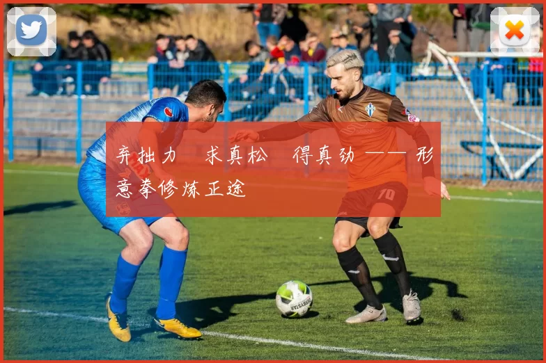 弃拙力・求真松・得真劲 —— 形意拳修炼正途