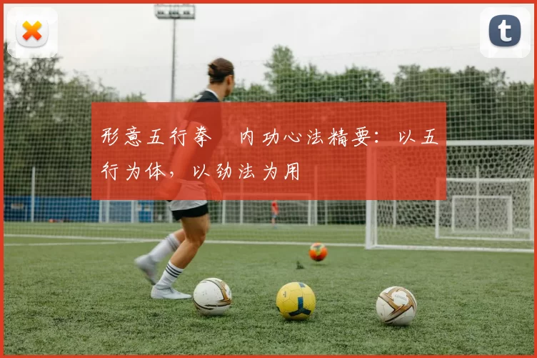 形意五行拳・内功心法精要：以五行为体，以劲法为用