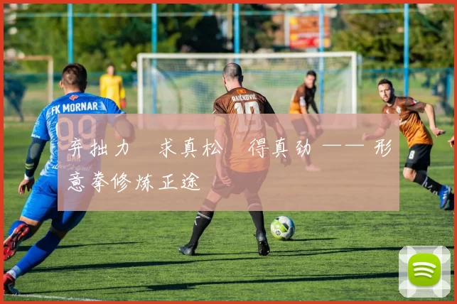 弃拙力・求真松・得真劲 —— 形意拳修炼正途