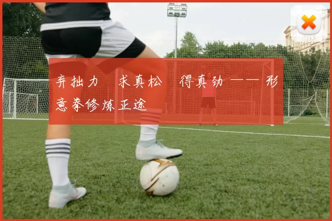 弃拙力・求真松・得真劲 —— 形意拳修炼正途