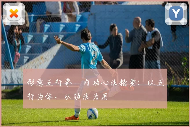 形意五行拳・内功心法精要:以五行为体,以劲法为用