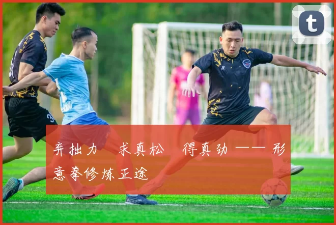 弃拙力・求真松・得真劲 —— 形意拳修炼正途