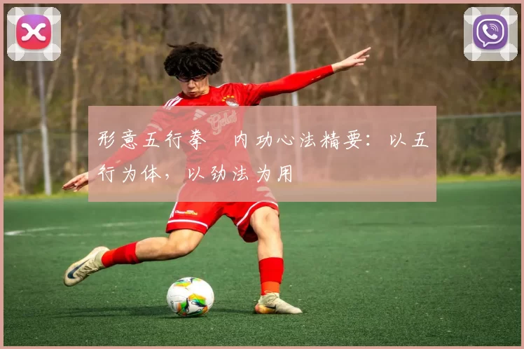 形意五行拳・内功心法精要：以五行为体，以劲法为用