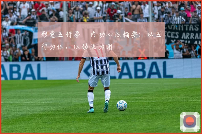 形意五行拳・内功心法精要：以五行为体，以劲法为用