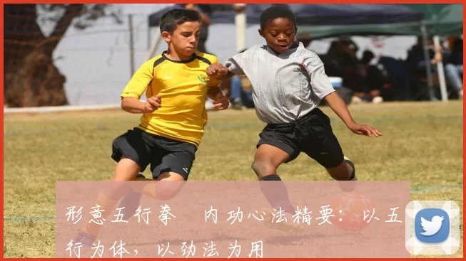 形意五行拳・内功心法精要:以五行为体,以劲法为用