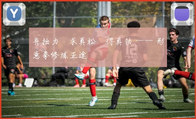 弃拙力・求真松・得真劲 —— 形意拳修炼正途