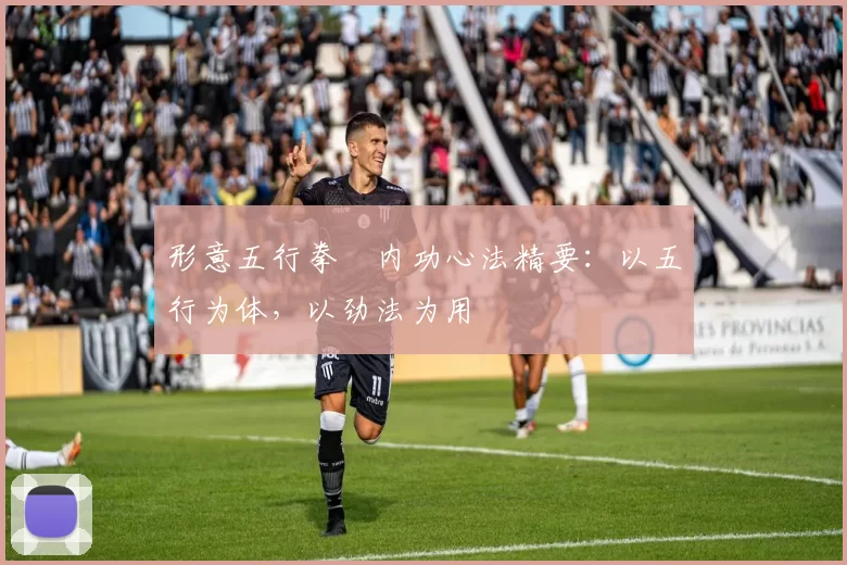 形意五行拳・内功心法精要：以五行为体，以劲法为用