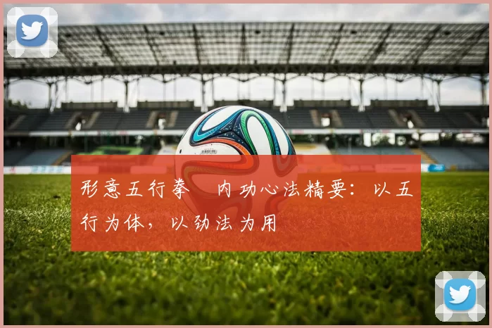 形意五行拳・内功心法精要:以五行为体,以劲法为用