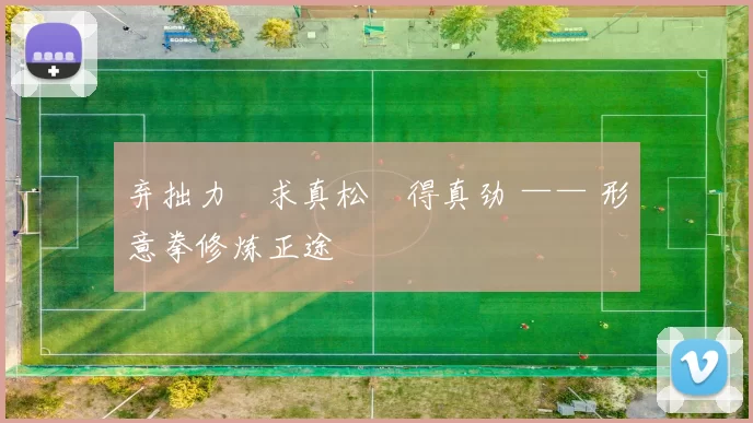 弃拙力・求真松・得真劲 —— 形意拳修炼正途