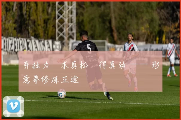 弃拙力・求真松・得真劲 —— 形意拳修炼正途