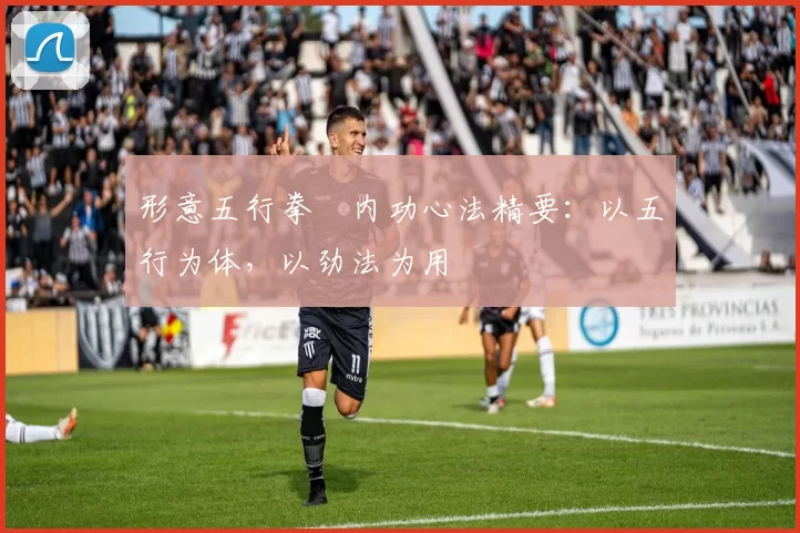 形意五行拳・内功心法精要：以五行为体，以劲法为用