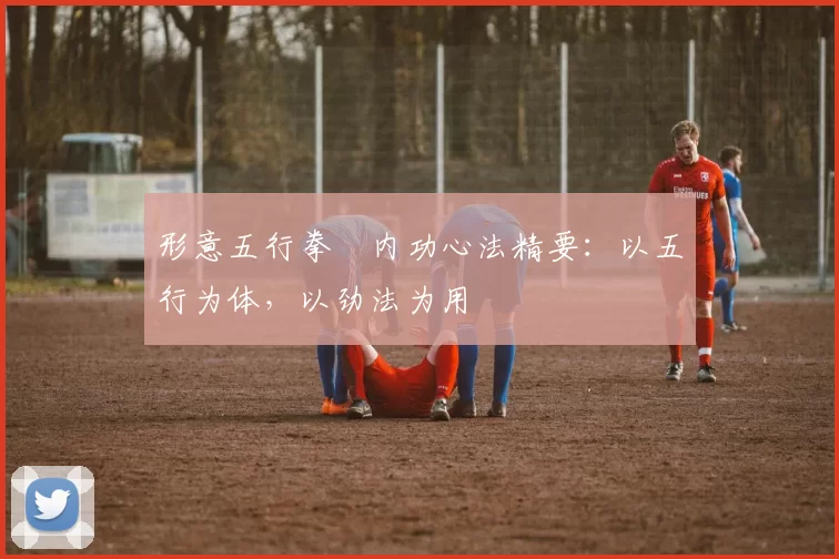 形意五行拳・内功心法精要:以五行为体,以劲法为用