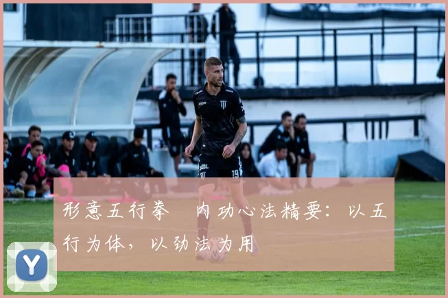 形意五行拳・内功心法精要：以五行为体，以劲法为用