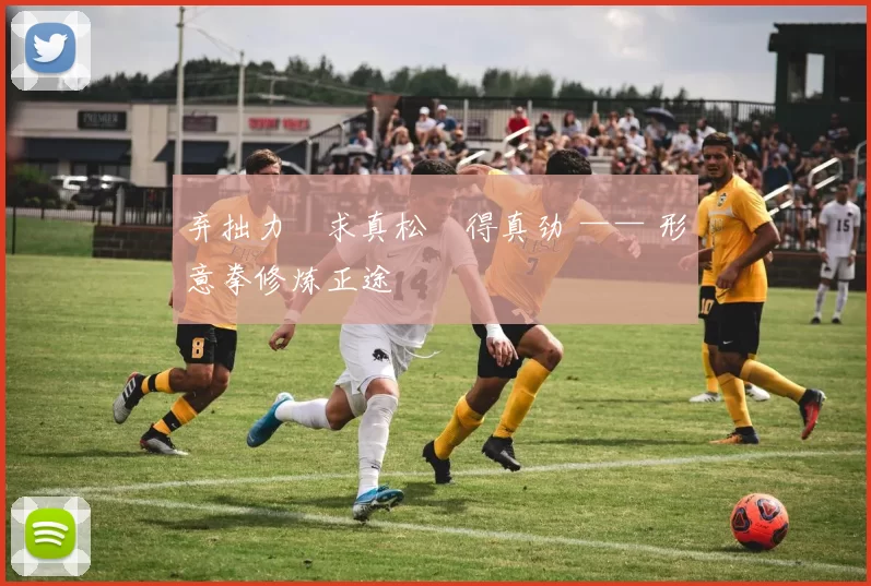 弃拙力・求真松・得真劲 —— 形意拳修炼正途