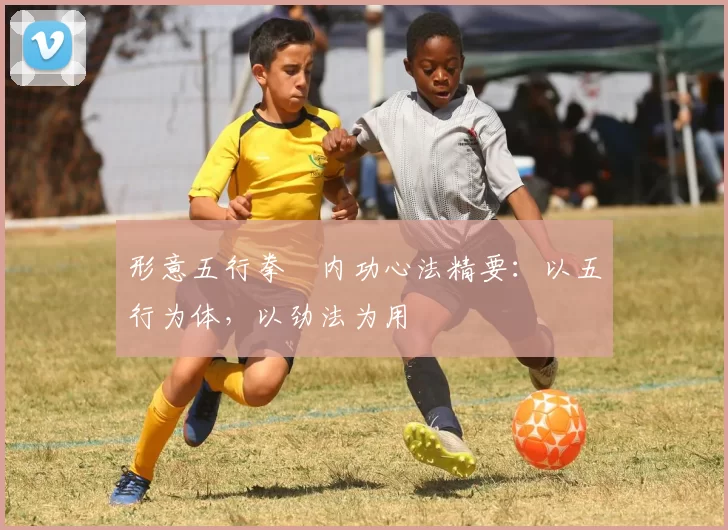 形意五行拳・内功心法精要：以五行为体，以劲法为用