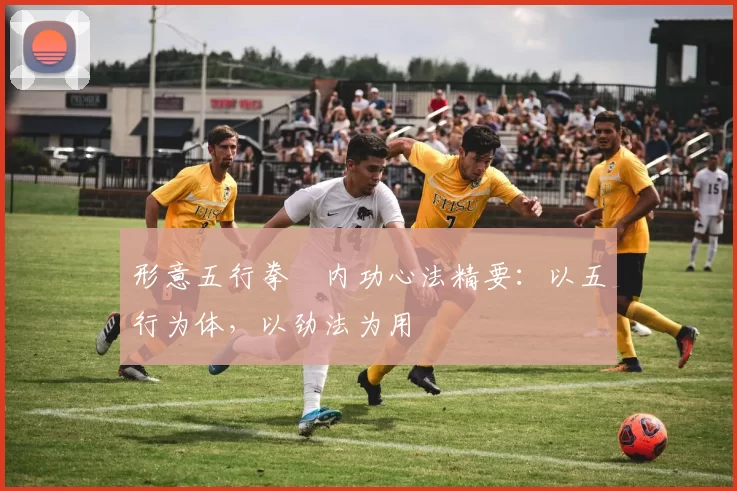 形意五行拳・内功心法精要:以五行为体,以劲法为用