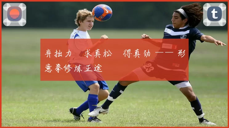 弃拙力・求真松・得真劲 —— 形意拳修炼正途