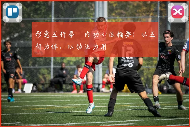 形意五行拳・内功心法精要：以五行为体，以劲法为用