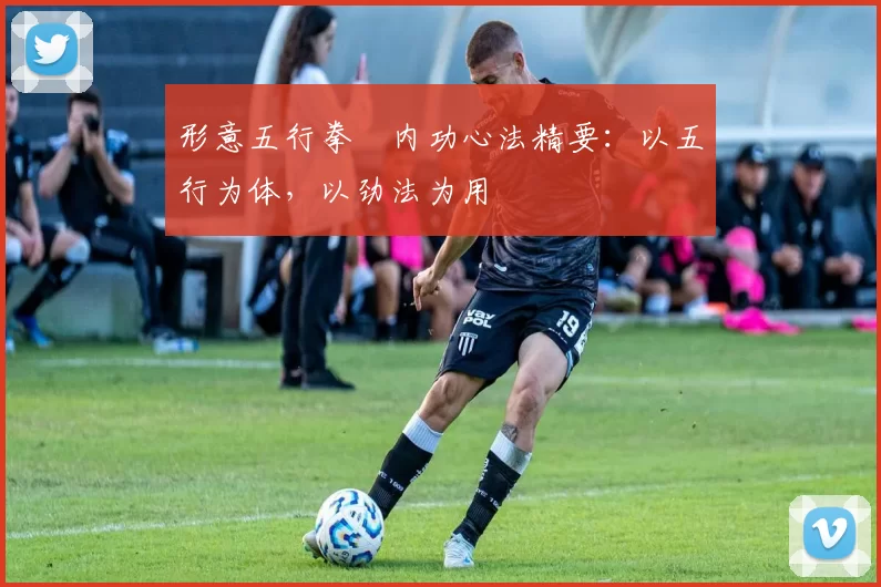 形意五行拳・内功心法精要:以五行为体,以劲法为用