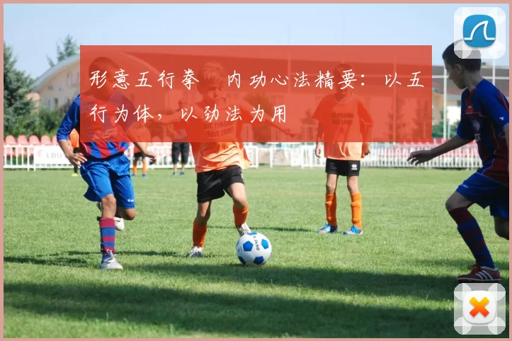 形意五行拳・内功心法精要:以五行为体,以劲法为用