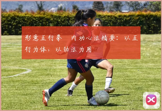 形意五行拳・内功心法精要：以五行为体，以劲法为用