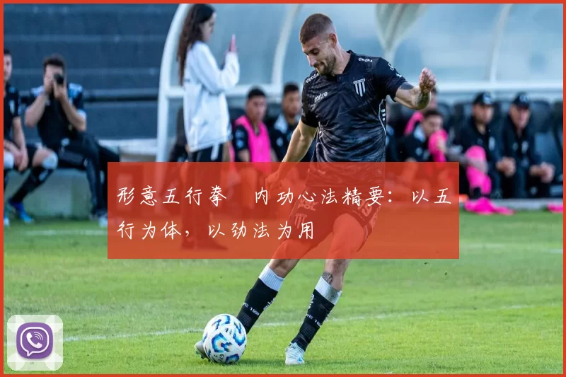 形意五行拳・内功心法精要:以五行为体,以劲法为用