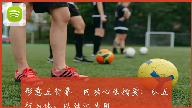 形意五行拳・内功心法精要：以五行为体，以劲法为用