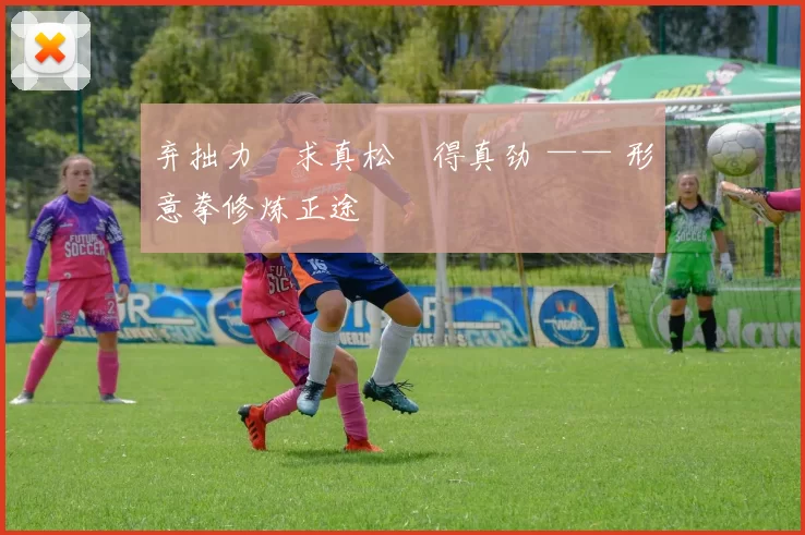 弃拙力・求真松・得真劲 —— 形意拳修炼正途