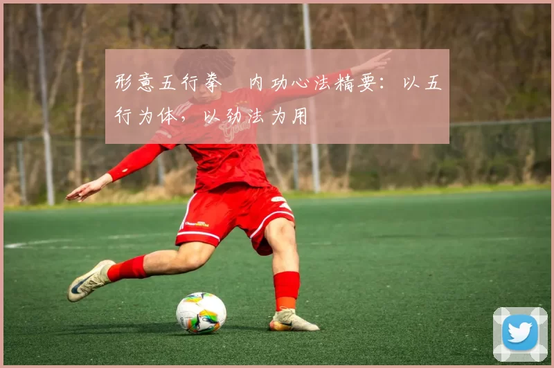 形意五行拳・内功心法精要：以五行为体，以劲法为用