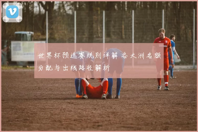 世界杯预选赛规则详解 各大洲名额分配与出线路径解析
