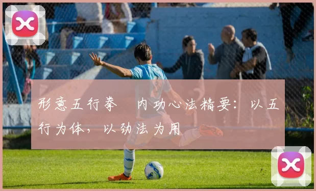形意五行拳・内功心法精要：以五行为体，以劲法为用