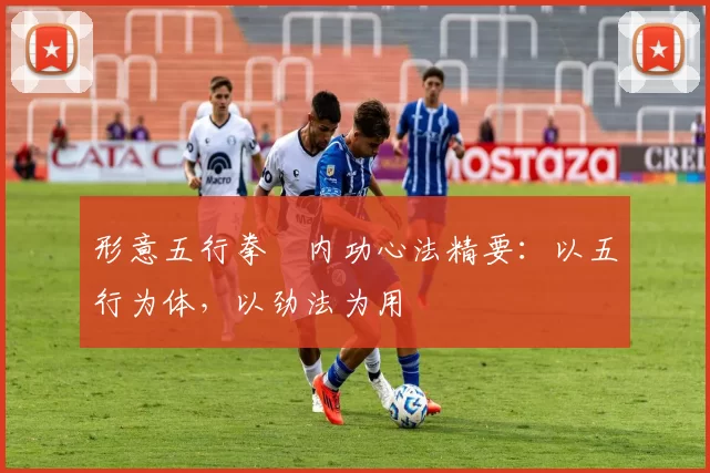 形意五行拳・内功心法精要：以五行为体，以劲法为用