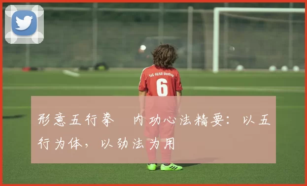 形意五行拳・内功心法精要：以五行为体，以劲法为用